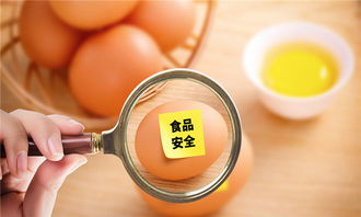 外貿(mào)進口出貨全流程解析與技術(shù)咨詢要點
